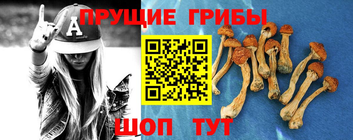 Галлюциногенные грибы прущие грибы Ишим