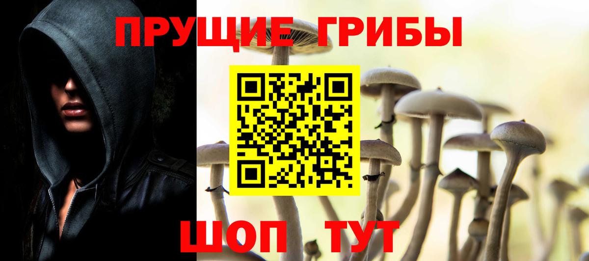 где найти   Галлюциногенные грибы мухоморы  Ишим  Вход с VPN  Галлюциногенные грибы мицелий 